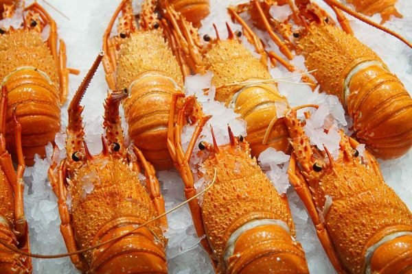 Lobster