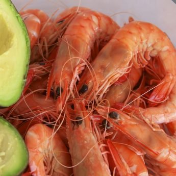 King Prawns