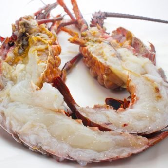 Lobster meat