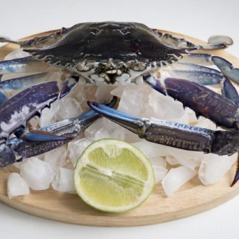 RawBS crab